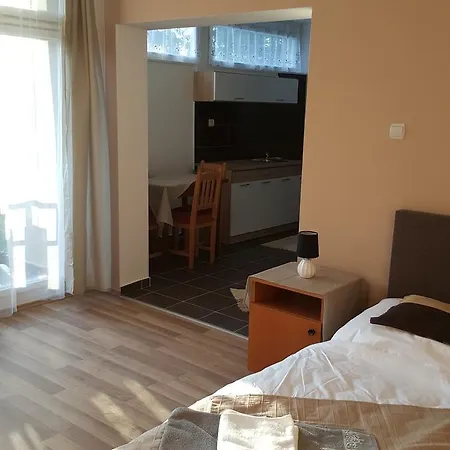 Bereny Panzio Bed & Breakfast 2*